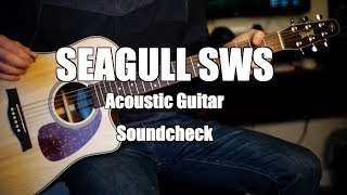 Seagull Maritime SWS Acoustic Guitar Sound Test [upl. by Anaej]