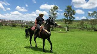 CUMPLEAÑOS CON EL CABALLO RETINTO JOSE LUIS CABEZAS RIOS [upl. by Sheilah]