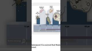 Mycoplasma PPLO [upl. by Aia]