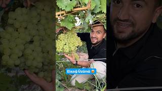 Elazığ quotÜZÜMÜquot 🍇 [upl. by Seadon281]