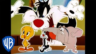 Looney Tunes  Catching Tweety  Classic Cartoon Compilation  WB Kids [upl. by Ahsinnod661]