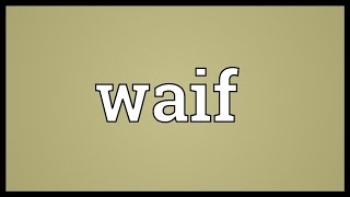 Waif Meaning [upl. by Meg]