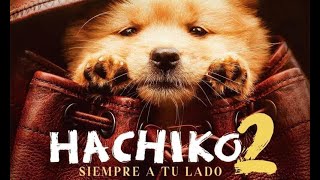 Hachiko 2 Siempre a tu Lado 2024  Tráiler 2 Español Latino [upl. by Tatiana84]