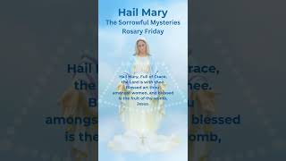 Hail Mary  Rosary Prayer  Rosary Friday  Sorrowful Mysteries  Ave Maria Piano hailmary shorts [upl. by Hilar]