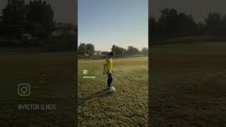 Morning Training Session Steppers amp Kickups  Victors Workout Routine [upl. by Freddy]