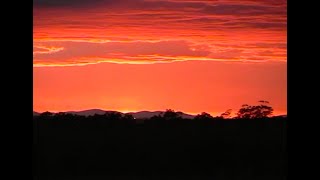 Melbourne  Hanging Rock Tour 2003 [upl. by Nibor354]