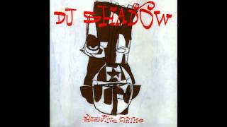 DJ Shadow  Preemptive Strike full album [upl. by Aihseyn447]