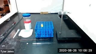 How to Prepare a Chromatography Column [upl. by Kcirdderf]