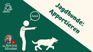 Apportieren lernen  die Tricks vom Profi 🐕 Die Hohe Jagd amp Fischerei unterwegs [upl. by Ananna]