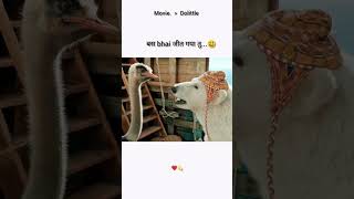 Movie name Dolittle ❤️‍🔥 movie shortvideo trending [upl. by Essirehs279]