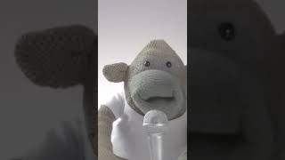 Monkey does some sick rapping funny pgtips teabag meme animation fun monkey pgtea rapping [upl. by Kanor]