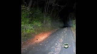 Woodcock in the Road 2 woodcock bestbackroad vermont naturetherapy [upl. by Mccord]