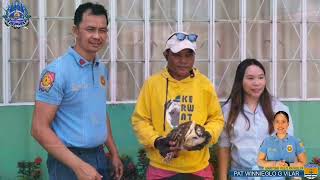 Capiz Maritime Police Station brought and handed over One 1 Live Grass Owl [upl. by Lebanna]