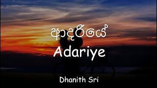 Dhanith Sri  Adariye LyricsEnglish [upl. by Rianna]