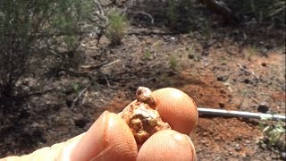 Metal Detecting Gold in Western Australia 2018 [upl. by Mauve]