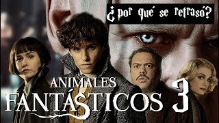 Primeras noticias de Animales Fantásticos 3 ¿por qué se retrasó la película [upl. by Cammy]