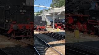 Stoomtrein kruising in Arnhem Westfalendampf 2024 [upl. by Emmerich]