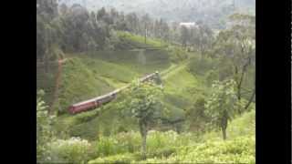 Bottleneck Curve  Watagoda  බෝතල් කට වංගුව [upl. by Yaluz494]