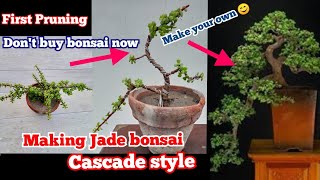 First pruning to make cascade style jade bonsai  jade bonsai for beginners [upl. by Hemetaf]