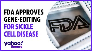 FDA approves geneediting therapy for sickle cell disease [upl. by Maisie]