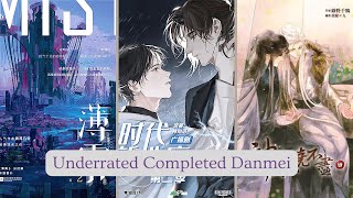 12 Fully Translated Danmei Novels That Are Vastly Underrated  Yaoi Novels  BL Novels [upl. by Eyk]