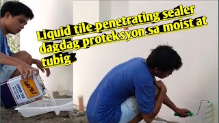 Applying davies liquid tile penetrating sealer sa wall [upl. by Cindra]