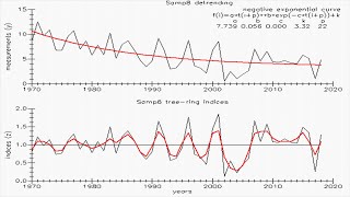 Дендрохронология  индексация приростов древесины Детрендинг возраста Arstan Tricycle Excel [upl. by Cedar961]