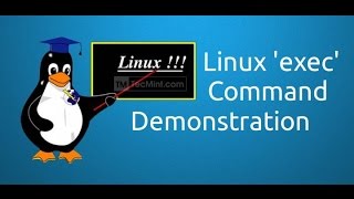 Linux exec Command Demonstration [upl. by Comras]