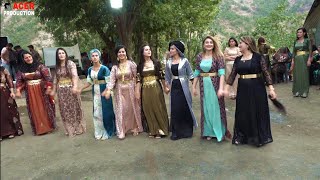 new halay kurdish wedding govenda bablekan [upl. by Obie]