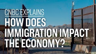 How does immigration impact the economy  CNBC Explains [upl. by Earaj]