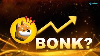 What’s Going on with the BONK Meme Coin  DRIPP News  2024 [upl. by Clarabelle285]