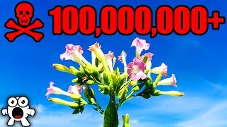 Top 10 Most Dangerous Plants in the World [upl. by Acirderf859]