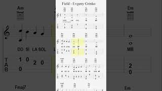 Field Guitar Tab Notes  Evgeny Grinko [upl. by Adnawat678]