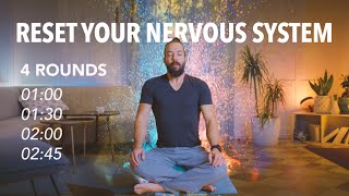 Guided Breathing Reset Your Nervous System [upl. by Crysta571]