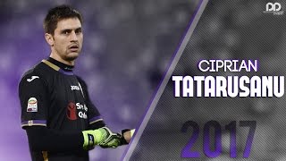 Ciprian Tatarusanu ● Best Saves 2017 HD  Welcome to FC Nantes [upl. by Ahsieket162]