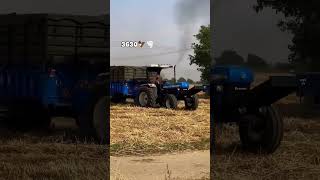 New Holland 3630 special edition [upl. by Anniroc657]