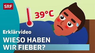 Fieber für Kinder erklärt  Erklärvideos für Kinder  SRF Kids – Kindervideos [upl. by Dusen542]