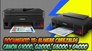 ✅ Solucion  Alineacion de cabezal Impresora Canon G1000 G2000 G3000 y G4000 [upl. by Thekla]