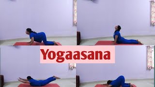 Yoga for Beginners The Best Asanas for Fitness [upl. by Epillihp]