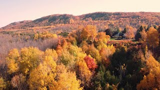 Fall Colours Over Blue Mountain [upl. by Imoin]