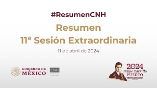 Resumen 11ª Sesión Extraordinaria del Órgano de Gobierno 11 de abril de 2024 [upl. by Nunci]