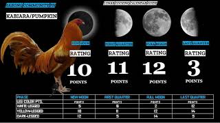 tips calendar ng manok panabong [upl. by Otilegna97]