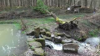 Gomaringer Rundweg  Zu den Giganten im Wald  Gomaringen  Tübingen [upl. by Witte514]