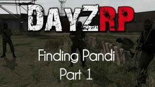 ARMA 2 DayZRP Mod — Finding Pandi — Part 1 — New In Town [upl. by Chin]