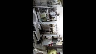 KILBURN PRAMOD PATIL PADDLE DRYER FOR DRYING OF STARCH [upl. by Danforth]