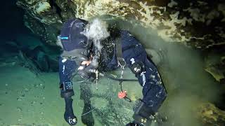 diving in Nettlebed Cave Mount Gambier South Australia 23423 [upl. by Sianna]