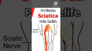 I Tested Sciatica Pain Relief Stretching Exercises [upl. by Roddie]