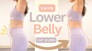 Quick Lower Belly Fat Workout  100 Burn amp Result Guaranteed  No equipment [upl. by Masha234]