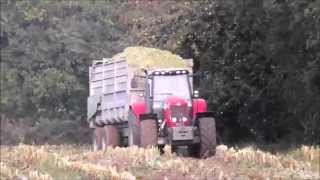 Ensilage Mais 2015  Bretagne [upl. by Nitsirc]