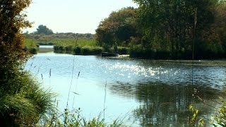 Les enfants du marais de Brière [upl. by Otiragram556]